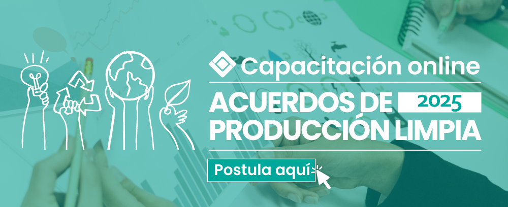 capacitacionAPL